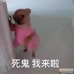  我仿佛来到了菜市场图片出来喝奶茶吗表情包下载乐游网游戏下载