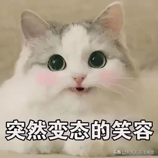 不准点我名二哈表情包