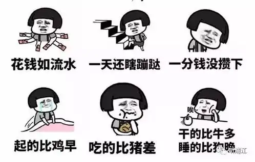  雨雨雨台风玉兔蹦跶到浦江人家门口啦接下来还有几个坏消息...