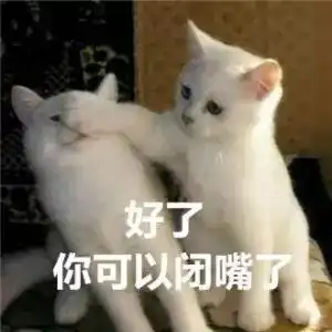 谢谢的可爱表情包吸猫