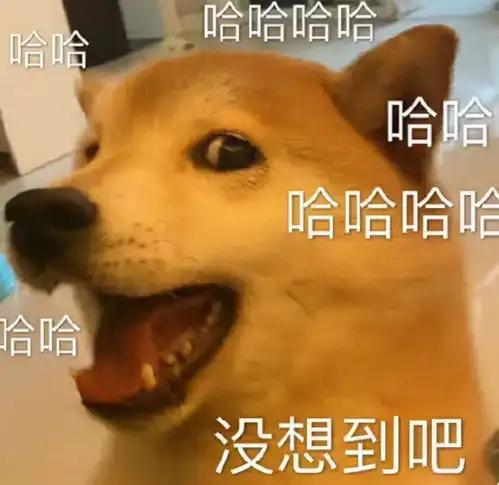 好自为之表情包ki