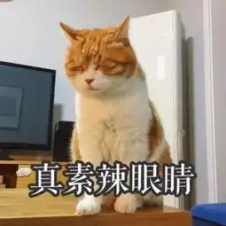  北京一大妞和朋友说了这三个字,结果.....