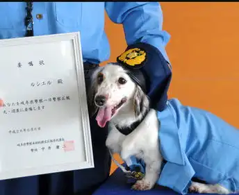  日本狗巡警任宣传大使协助维护当地治安