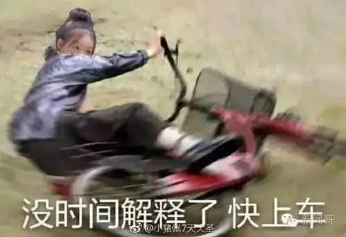  一些我觉得很好用的表情包分享