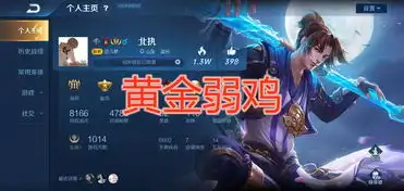  个人主页放啥刺客看段位,猴子黄金,韩信钻石,王者非他莫属
