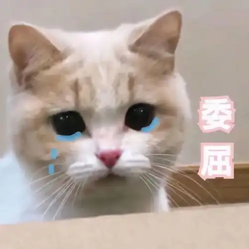  就地留铜过年,有你想象不到的快乐