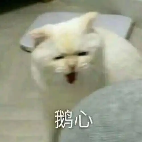  圣母滚点炮楼