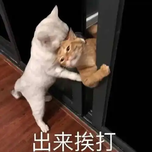  男友深夜约兄弟开房间,手滑发给了我收到消息崩了...