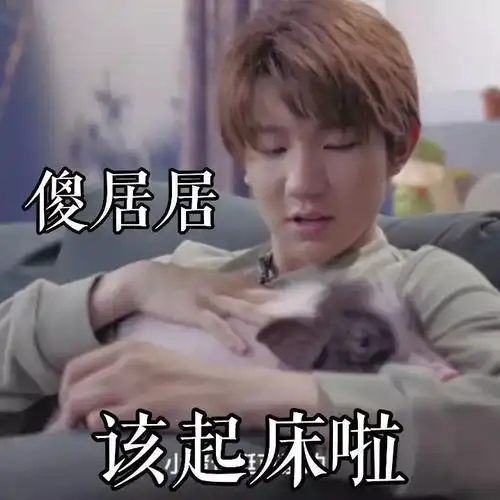  tfboys微信聊天表情包