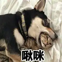  高中毕业就去闯社会的下场