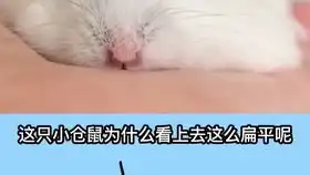  挑战寝室染发,感谢小可爱帮我染的头发大学生宿舍染发