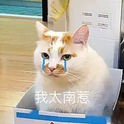  历史回顾网红猫咪楼楼表情包第七弹