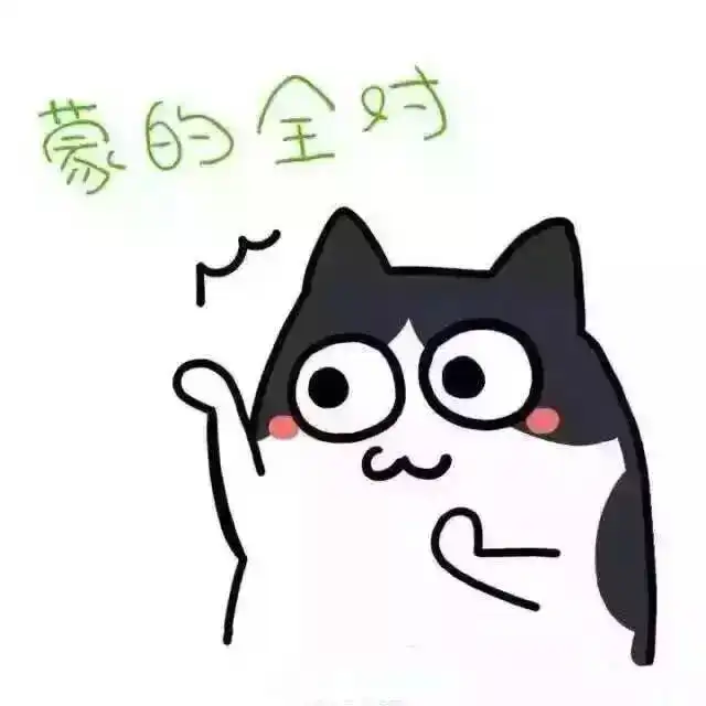 早啊表情包可爱头像