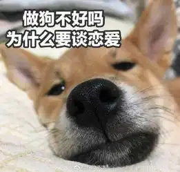  柠檬日是什么意思2月14日情人节是柠檬日柠檬日快乐表情包