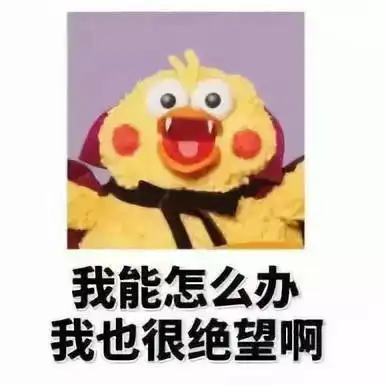  玉女心经颜值从出生豪门到家道中落是一种怎样的体验