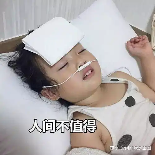  初三上册怎么快速提升成绩