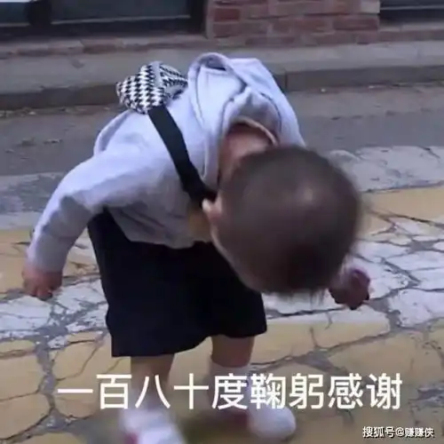  搞笑表情包图片经典必备,笑死我了,哈哈哈哈