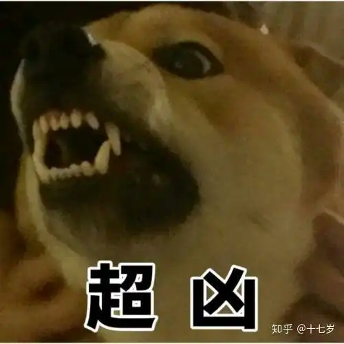 我不喜欢女人表情包微信
