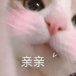  你听到的最撩人的话是哪句