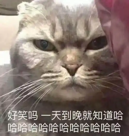  幽默段子笑话朋友是做微商的,家里觉得他不务正业
