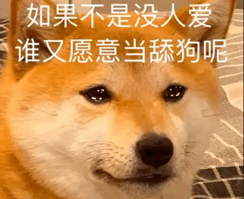  原来王思聪也会当舔狗英语中这个词竟完美对应舔狗