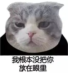  抖音你知道我最开心的是哪天吗表情包
