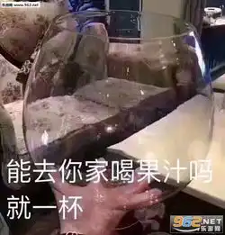  能去你家喝果汁吗就一杯表情包我能去你家吃粽子吗就一个系列表情包图片下载乐游网游戏下载
