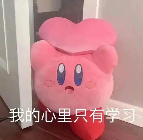  公考上岸经验分享