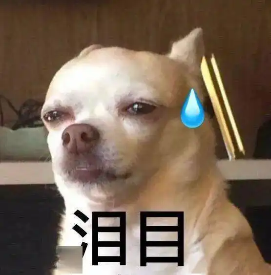  小动物流汗表情包
