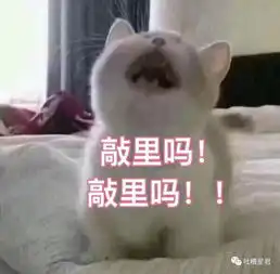  双十一网购的东西还没到,网友评论亮了