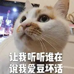  表情网红猫楼楼动态表情
