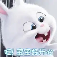  宠物大作战兔子表情包