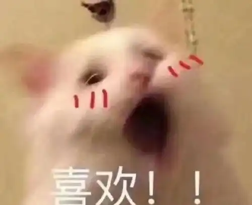  我的哈士奇男友欢喜互宠犬系霸总心动追爱猫系少女