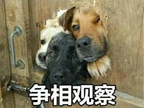  家族的上市盛宴一辆丰田换回41股份,奕东电子大客户频繁丢失,上市前突击分红,还大存大贷