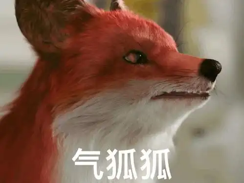 克蕾尔表情包小狐狸叫什