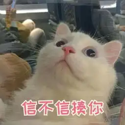  表情包我心里一直都有你