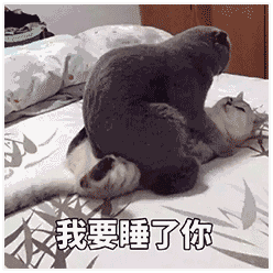 全网最大尺度情侣表情包,男票看完疯狂害羞心跳