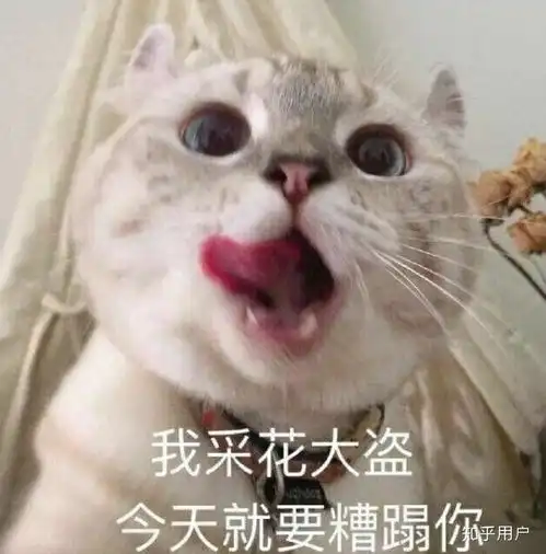  为什么有得女朋友总是想睡男朋友呢