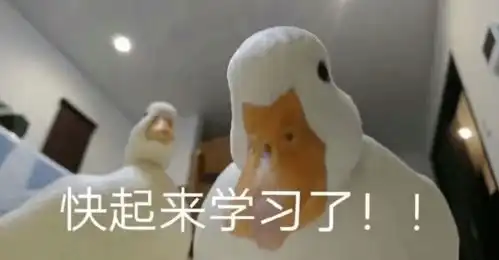  南京这个本科宿舍人手一篇sci,却查无此人