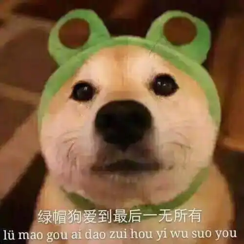 舔狗图片表情包手机云