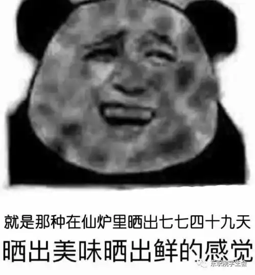  新生特辑你若军训,便是晴天