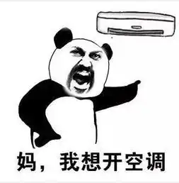  全是雨端午节南澳错过的龙舟水,六月一起还给你