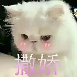  教我说话