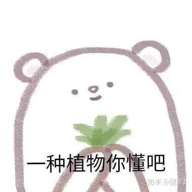  表情包大户的仓库