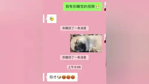  表情包搞笑聊天记录套路表情啥时候能当网红狗萌宠