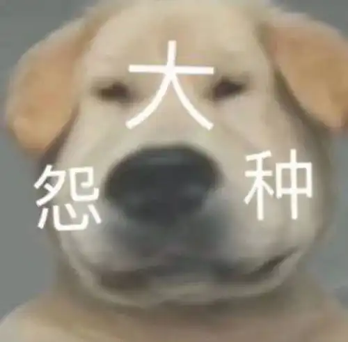 一无所有表情包表情
