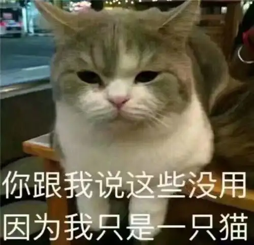  有没有无形中气死人的表情包