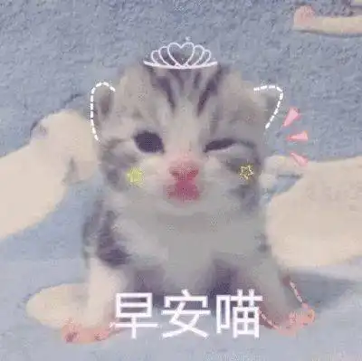 早啊表情包可爱吸烟