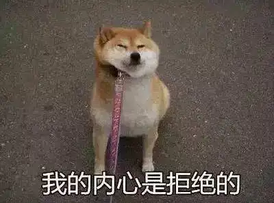 说走咱就走表情包狗狗