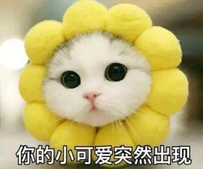 表情包害羞可爱图片情头